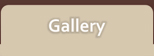 Image Galleries